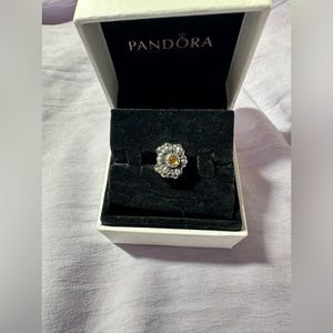 Pandora charm